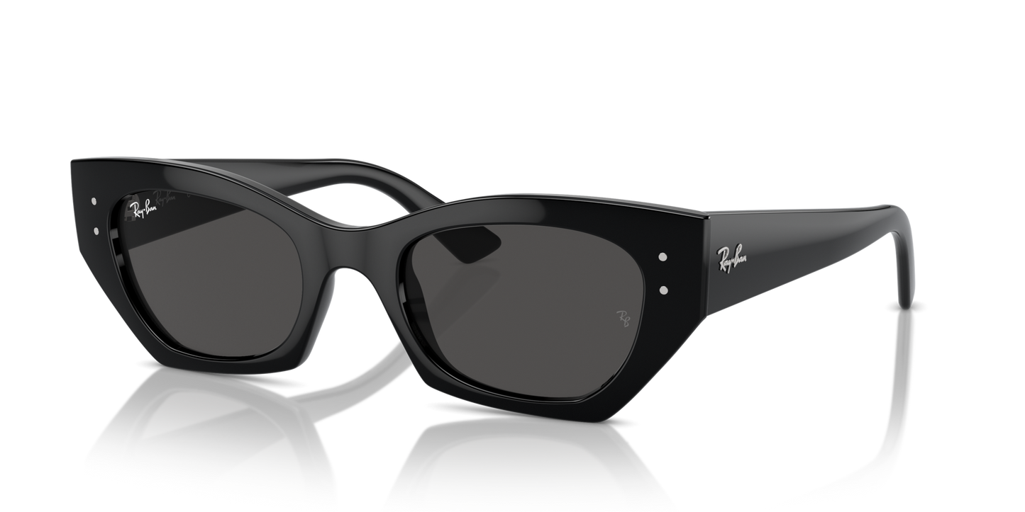 Ray-Ban | RB 4430 6677/87
