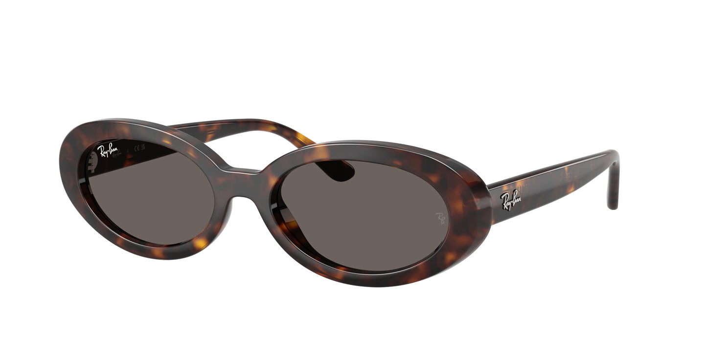 RAY-BAN | RB2223 902/B1