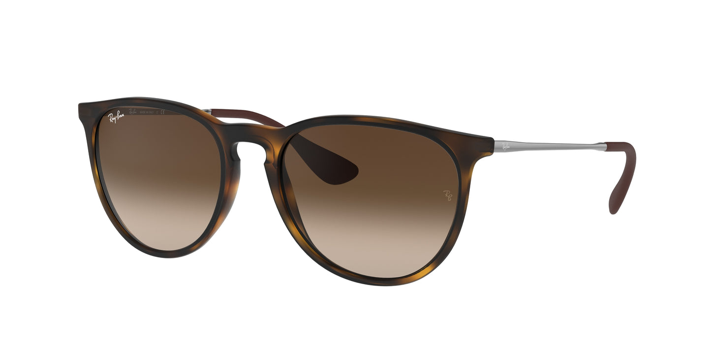 RAY-BAN | RB4171 865/13