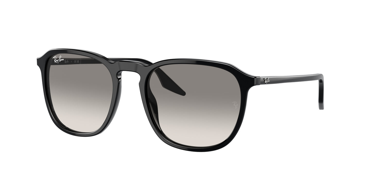 RAY-BAN | RB2203 901/32