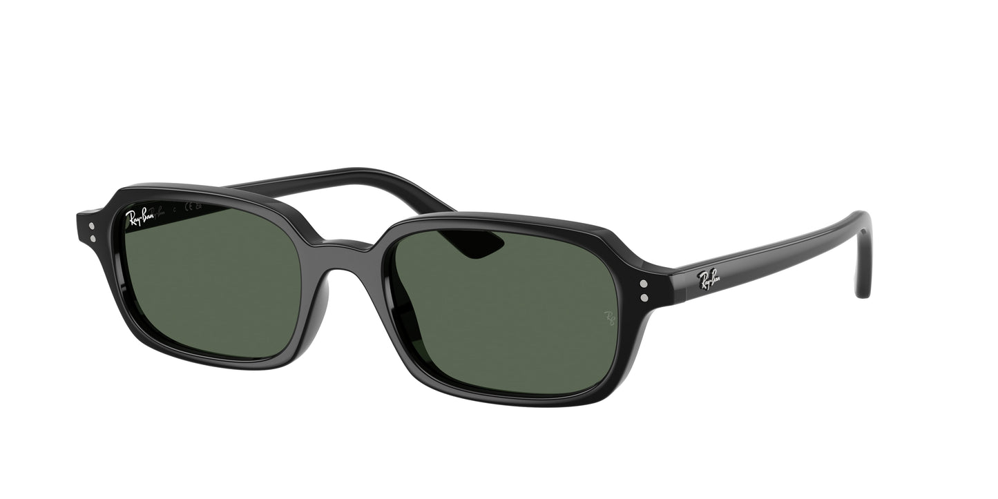 RAY-BAN | RB4455 667771