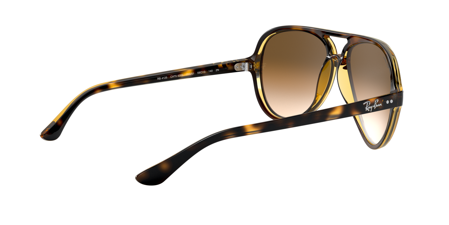 RAY-BAN | RB 4125 710/51