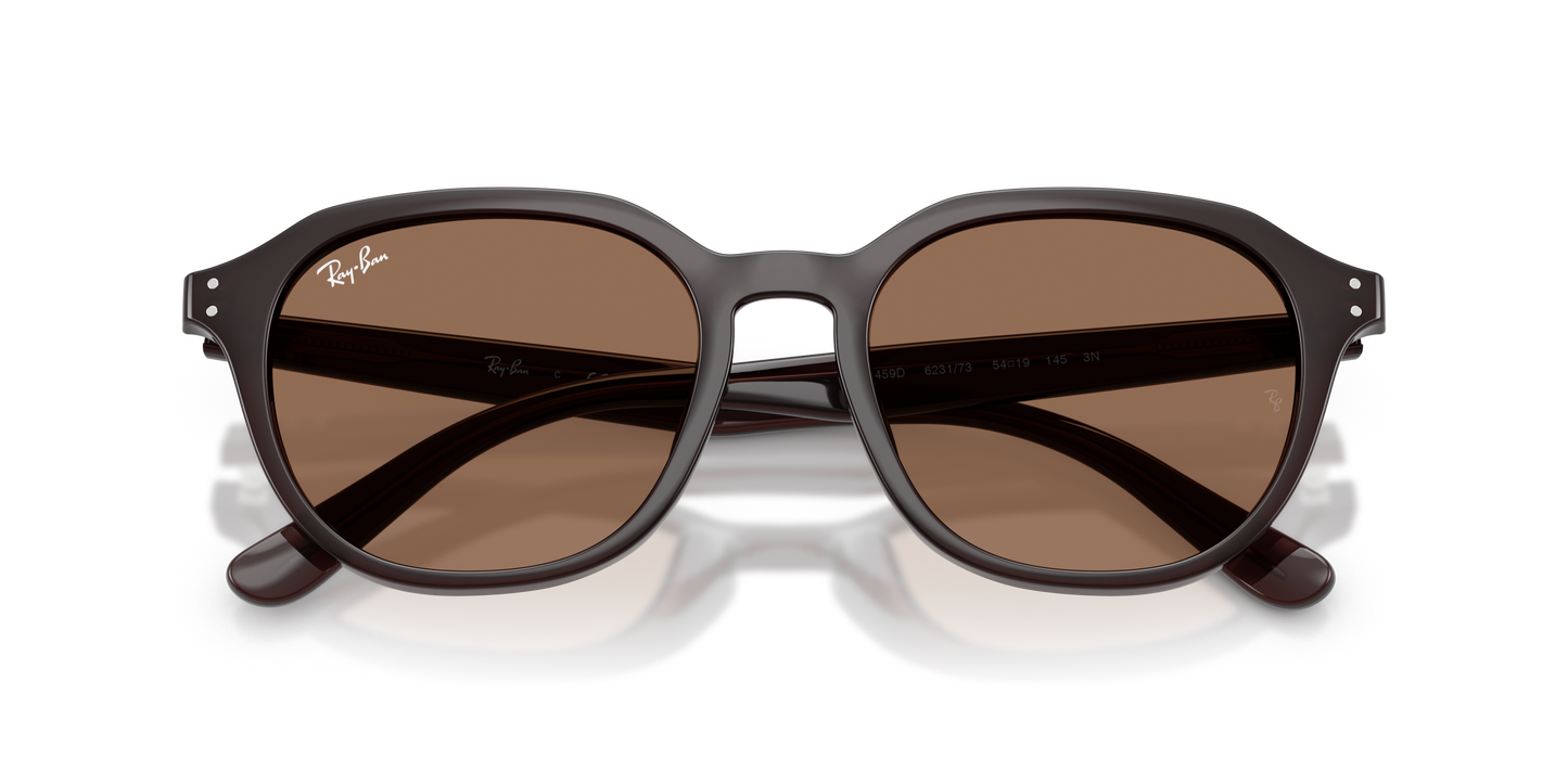 RAY-BAN | RB 4459D 623173