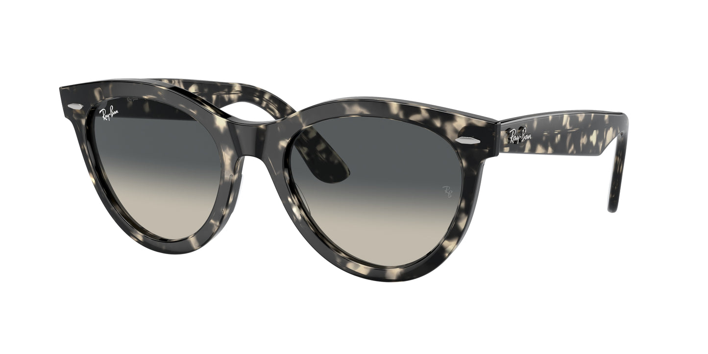RAY-BAN | RB2241 133371