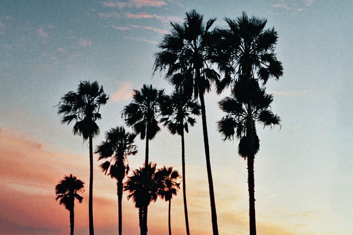 SUNDAY SOMEWHERE | SUNDAY SOMEWHERE SUN036