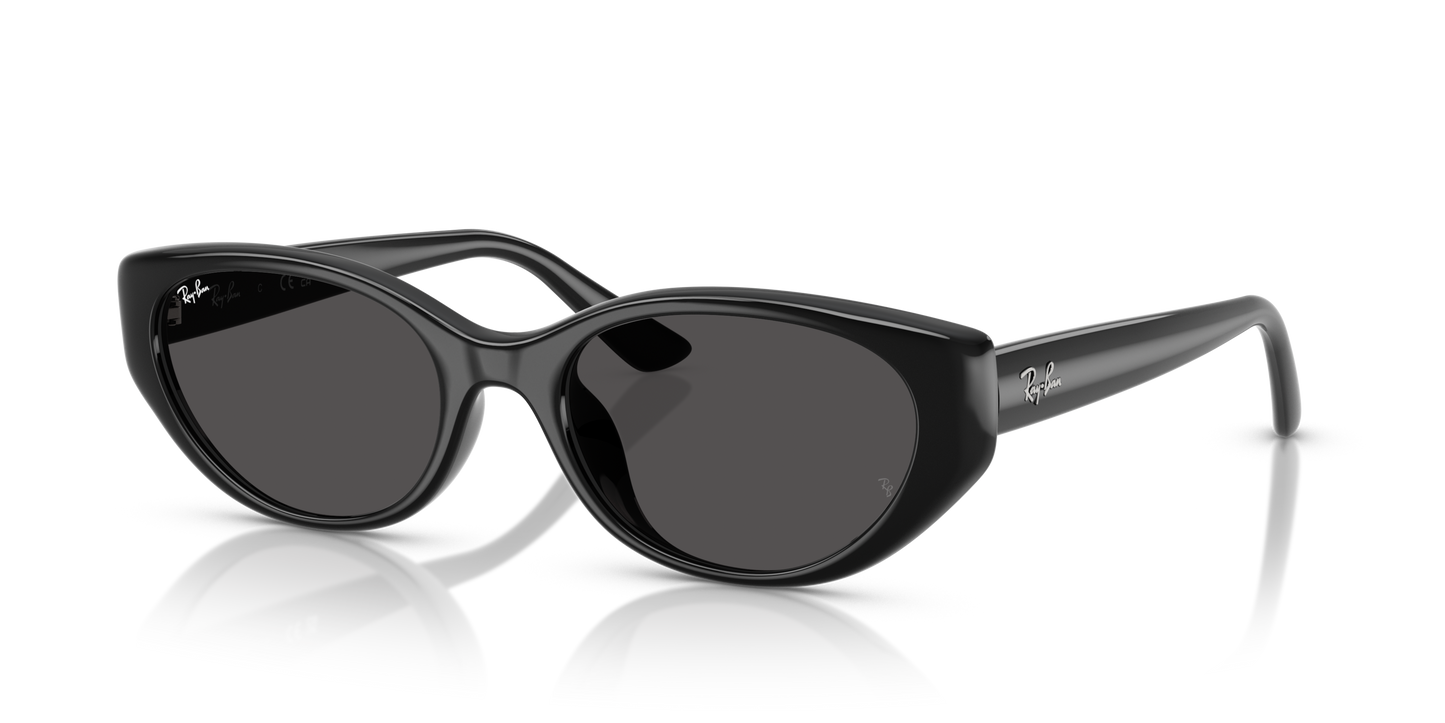 RAY-BAN | RB 4457D 667787