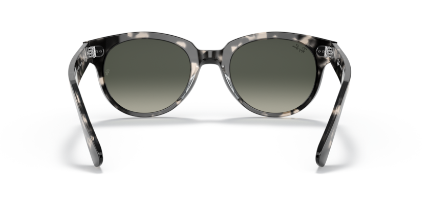 Ray-Ban | RB 2199 133371