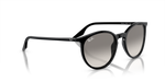 Ray-Ban | RB 2204 901/32