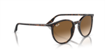 Ray-Ban | RB 2204 902/51