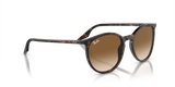 Ray-Ban | RB 2204 902/51