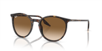 Ray-Ban | RB 2204 902/51