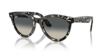 Ray-Ban | RB 2204 1333/71