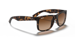 Ray-Ban | RB 4165 710/13