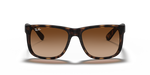 Ray-Ban | RB 4165 710/13