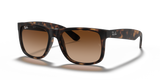 Ray-Ban | RB 4165 710/13