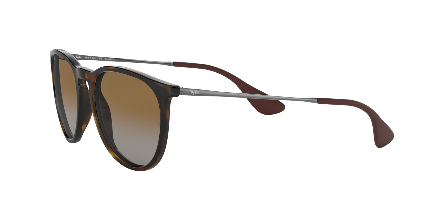 RAY-BAN | RB4171 710/T5