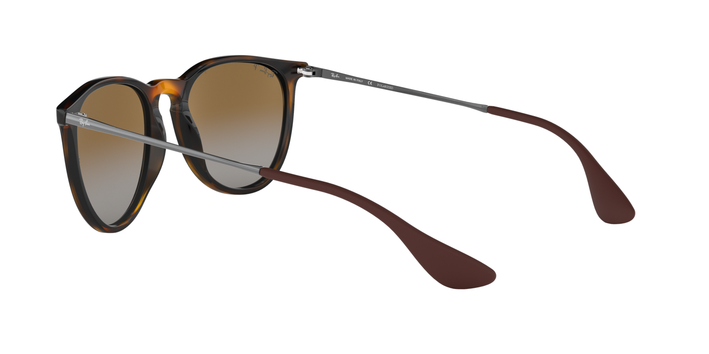 RAY-BAN | RB4171 710/T5