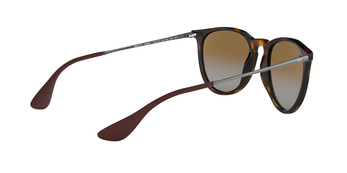 RAY-BAN | RB4171 710/T5