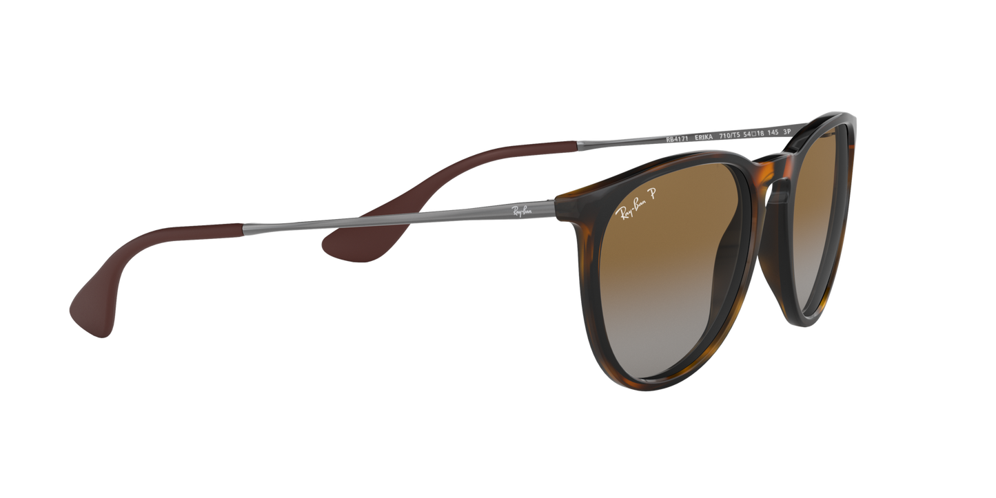 RAY-BAN | RB4171 710/T5