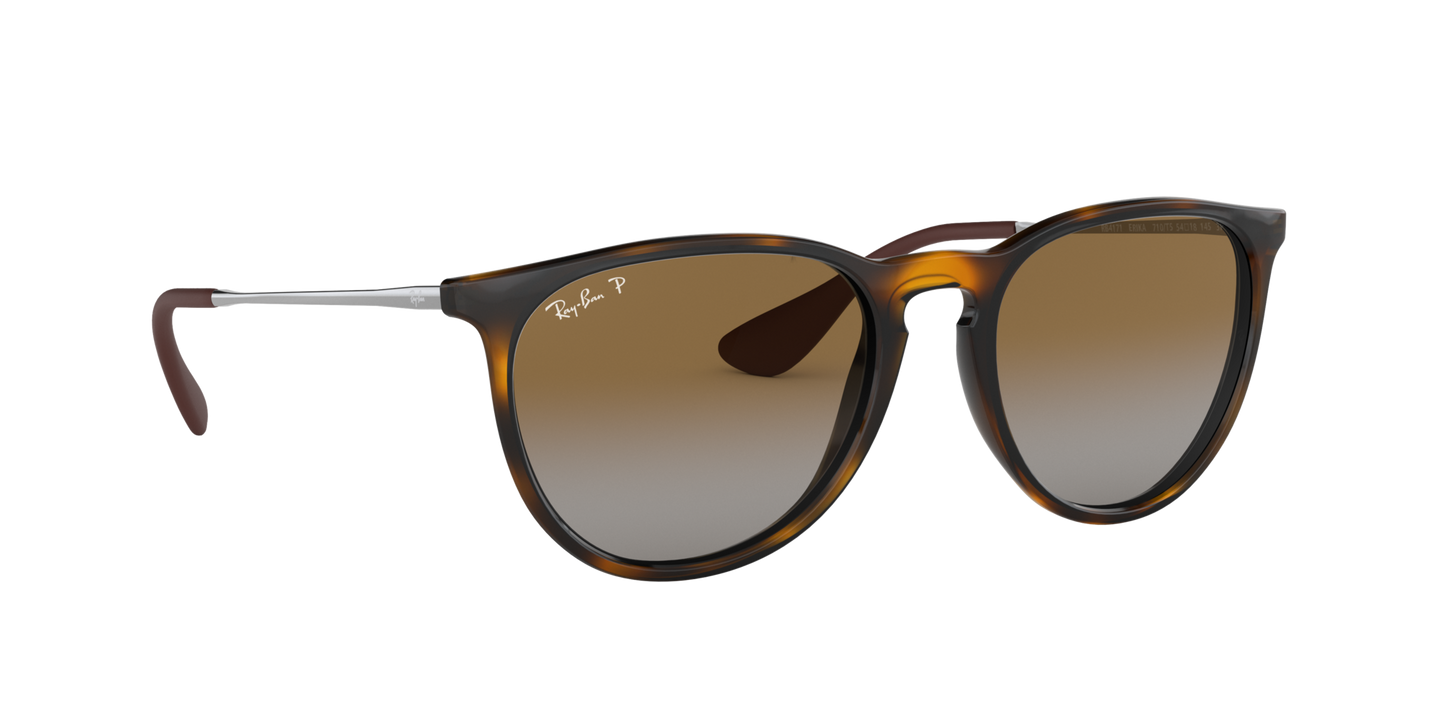 RAY-BAN | RB4171 710/T5