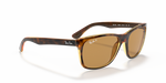 Ray-Ban | RB 4181 710/83