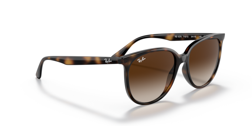Ray-Ban | RB 4378 710/13