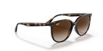 Ray-Ban | RB 4378 710/13