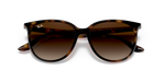 Ray-Ban | RB 4378 710/13