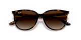 Ray-Ban | RB 4378 710/13