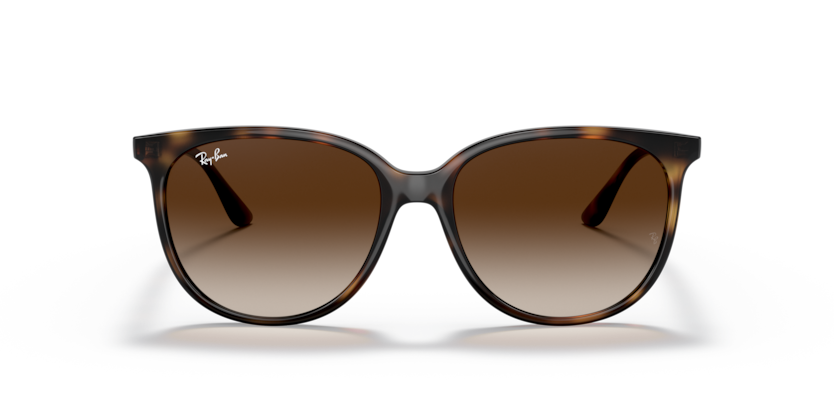 Ray-Ban | RB 4378 710/13