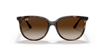 Ray-Ban | RB 4378 710/13