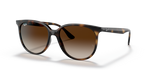 Ray-Ban | RB 4378 710/13