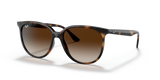 Ray-Ban | RB 4378 710/13