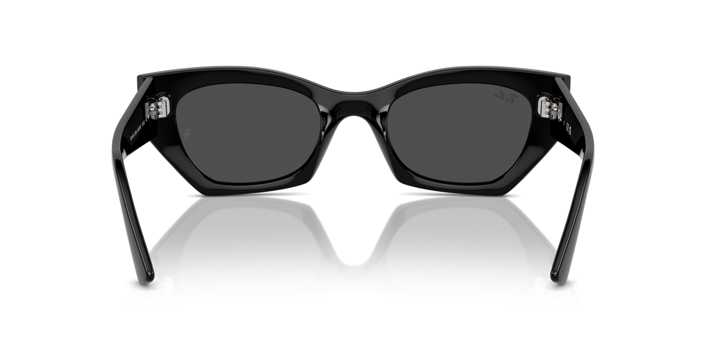 Ray-Ban | RB 4430 6677/87