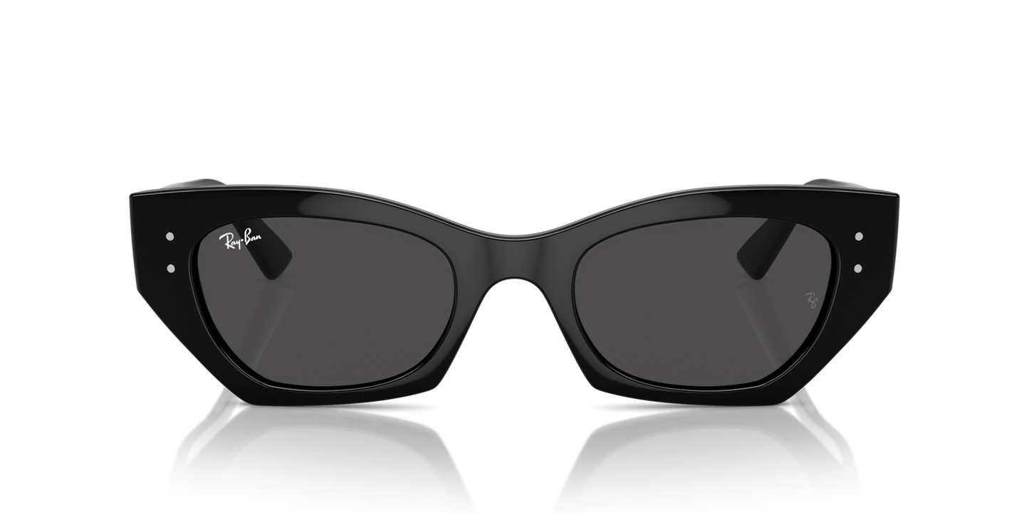 Ray-Ban | RB 4430 6677/87