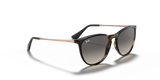 Ray-Ban |RJ9060S 7049/11