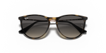 Ray-Ban |RJ9060S 7049/11