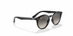 Ray-Ban |RJ9064S 100/11