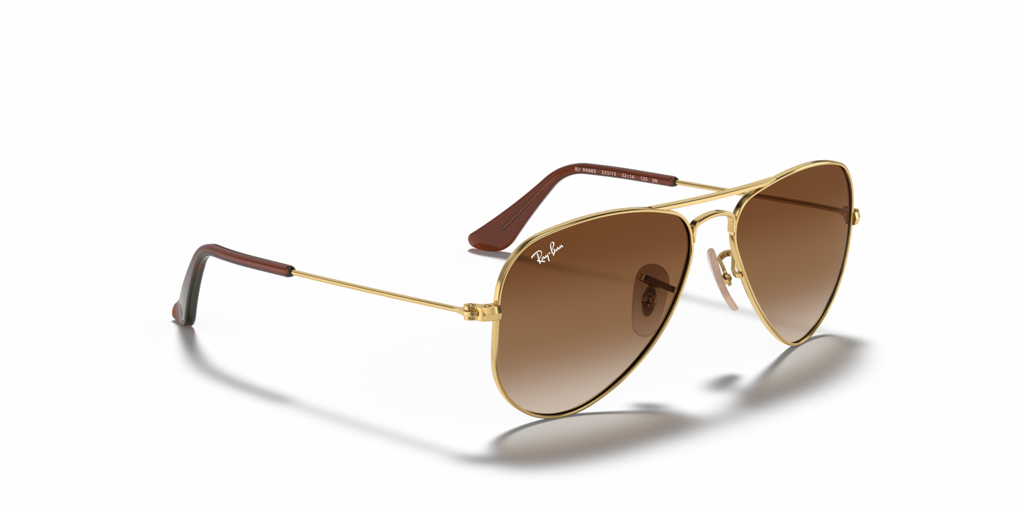 Ray-Ban |RJ9506S 223/13
