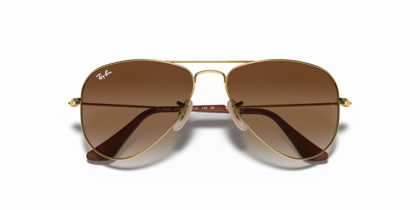Ray-Ban |RJ9506S 223/13