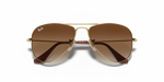 Ray-Ban |RJ9506S 223/13