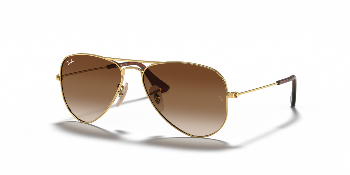 Ray-Ban |RJ9506S 223/13