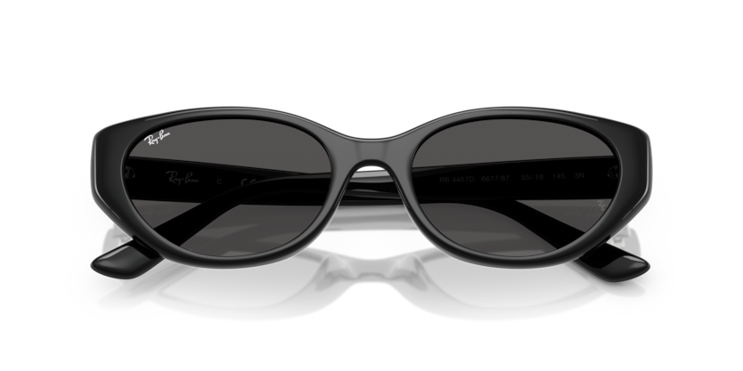 RAY-BAN | RB4457D 667787