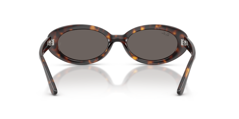 RAY-BAN | RB2223 902/B1