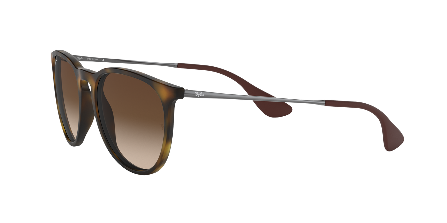 RAY-BAN | RB 4171 865/13