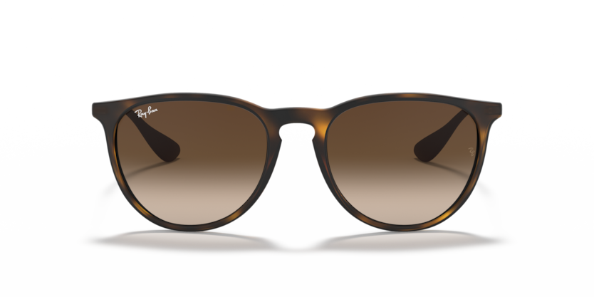 RAY-BAN | RB4171 865/13