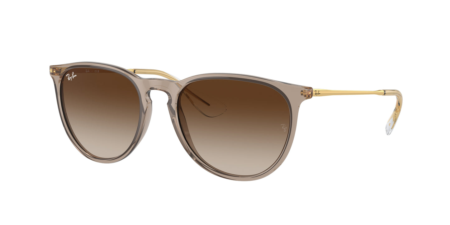 RAY-BAN | RB4171 674413