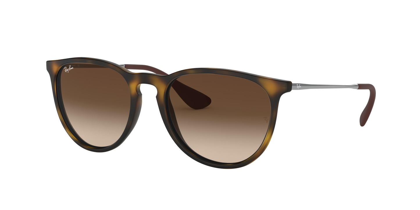 RAY-BAN | RB 4171 865/13