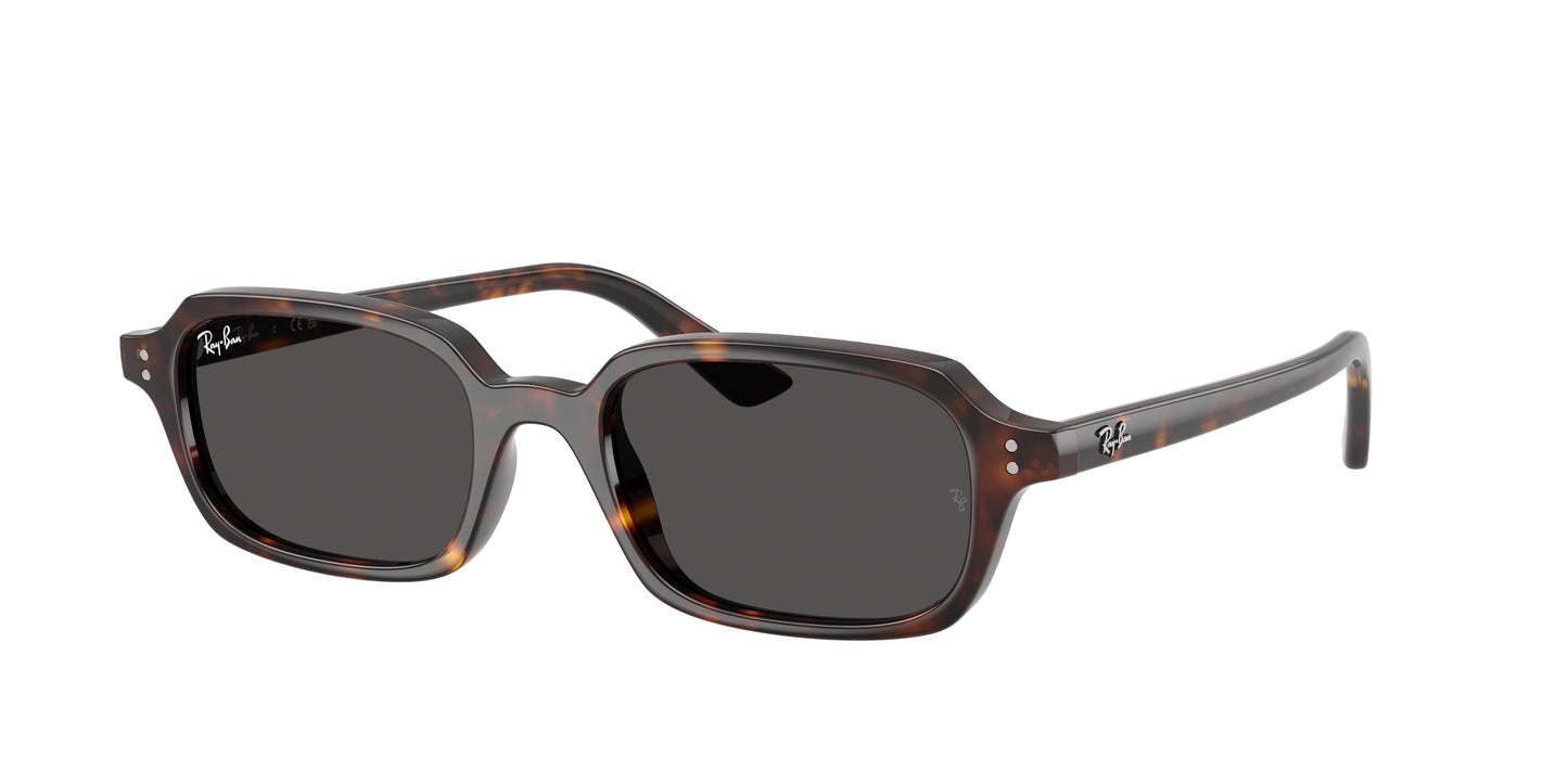 RAY-BAN | RB4455 135987