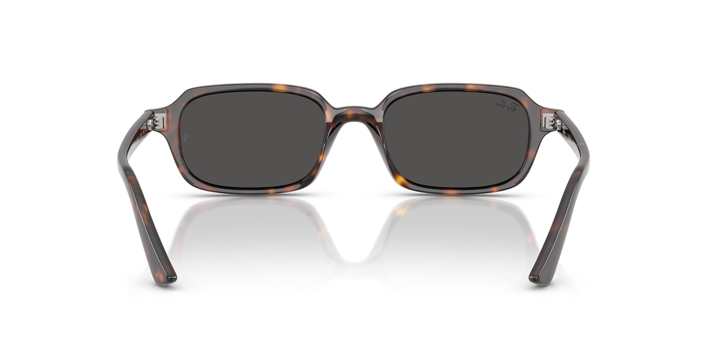 RAY-BAN | RB 4455 135987